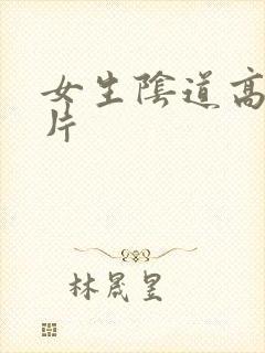 女生阴道高清图片