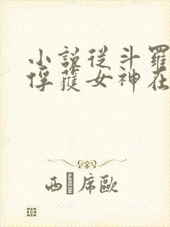 小说从斗罗开始俘获女神在线全文免费阅读