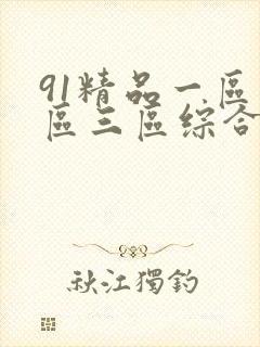 91精品一区二区三区综合在线