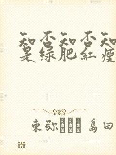 知否知否知否应是绿肥红瘦在线观看免费全集