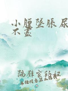 小腹坠胀尿频尿不尽