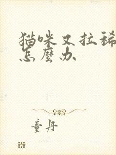 猫咪又拉稀又吐怎么办