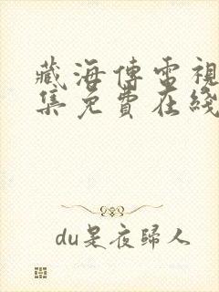 藏海传电视剧全集免费在线观看