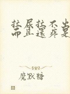 拉尿拉不出来,而且还疼是怎么回事