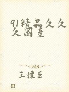 91精品久久久久国产