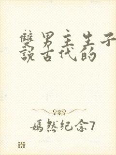 双男主生子文小说古代的