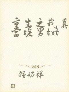 重生之我真没想当暖男txt