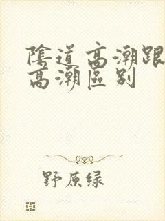 阴道高潮跟阴蒂高潮区别