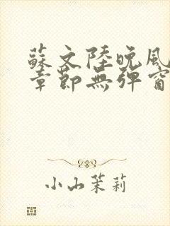 苏文陆晚风最新章节无弹窗笔趣阁