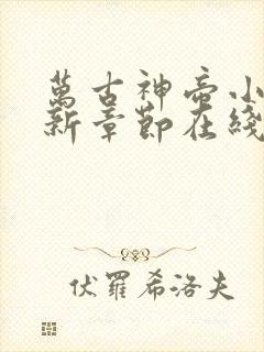 万古神帝小说最新章节在线