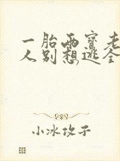 一胎两宝老婆大人别想逃全文免费