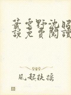 萧云野沈昭宁小说免费阅读最新章节