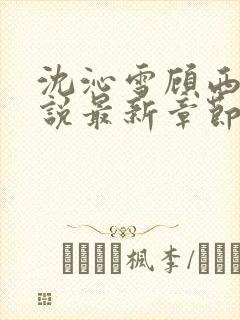 沈沁雪顾西朝小说最新章节免费阅读