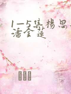 1—5集杨思敏潘金莲