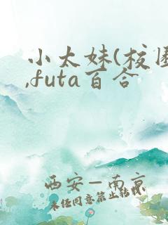 小太妹(校园h,futa百合
