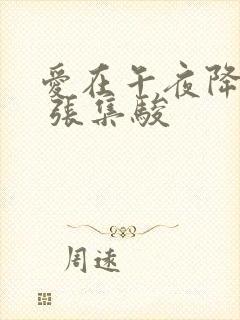 爱在午夜降临前 张集骏