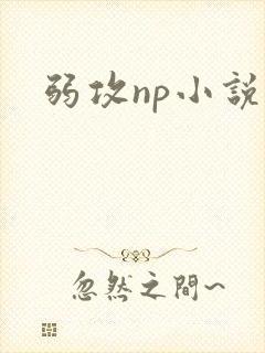 弱攻np小说