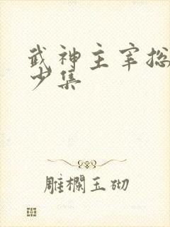 武神主宰总共多少集