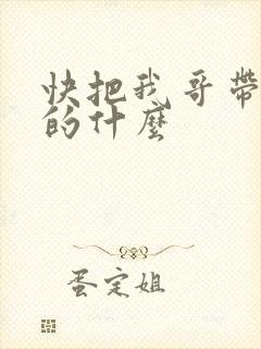 快把我哥带走讲的什么