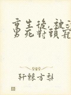 重生后, 被渣男死对头宠上天