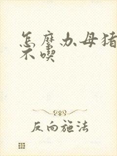 怎么办母猪产后不吃