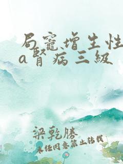 局灶增生性iga肾病三级