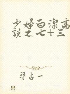 少妇白洁高义小说之七+三