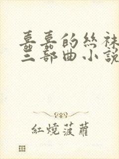 嘉嘉的丝袜美腿三部曲小说