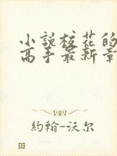 小说校花的贴身高手最新章节列