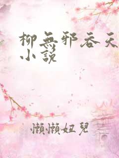 柳无邪吞天神鼎小说