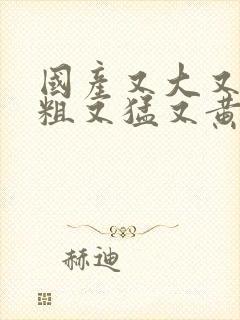 国产又大又长又粗又猛又黄的视频