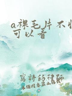a裸毛片不收费可以看