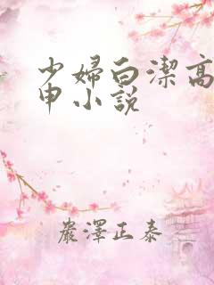 少妇白洁高义王申小说