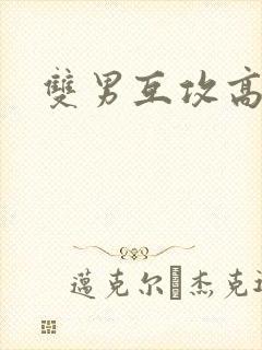 双男互攻高h