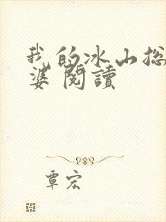 我的冰山总裁老婆 阅读
