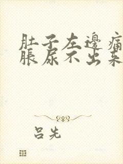 肚子左边痛尿道胀尿不出来