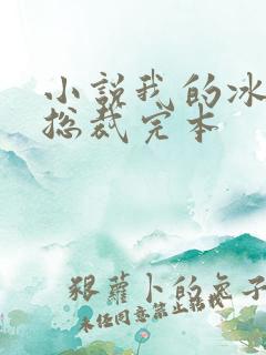 小说我的冰山女总裁完本