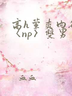 高h荤爽肉欲文〈np〉双男