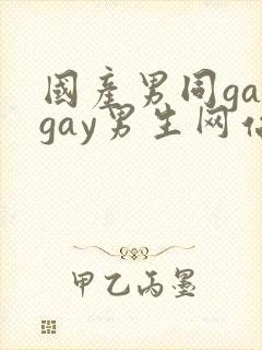 国产男同gaygay男生网站