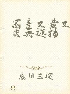 国产又黄又粗又爽无遮挡