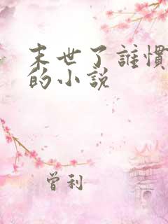 末世了谁惯着你的小说