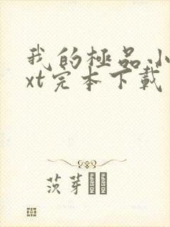 我的极品小姨txt完本下载