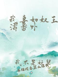 我妻如奴王琳和涛番外