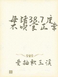 母猪38.7度不吃食正常吗怎么办