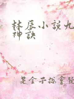 林辰小说九天斩神诀