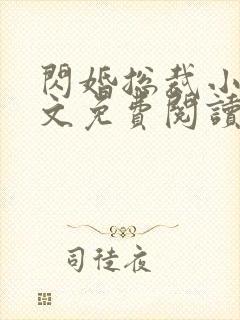 闪婚总裁小说全文免费阅读