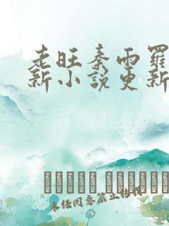 老旺秦雨罗明最新小说更新