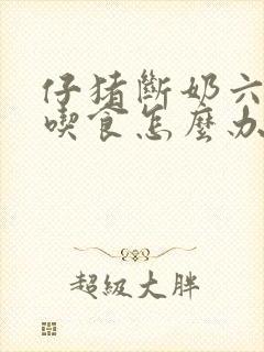 仔猪断奶六天不吃食怎么办