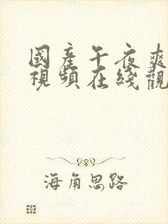 国产午夜爽爽爽视频在线观看