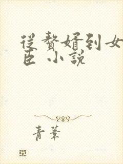 从赘婿到女帝宠臣 小说